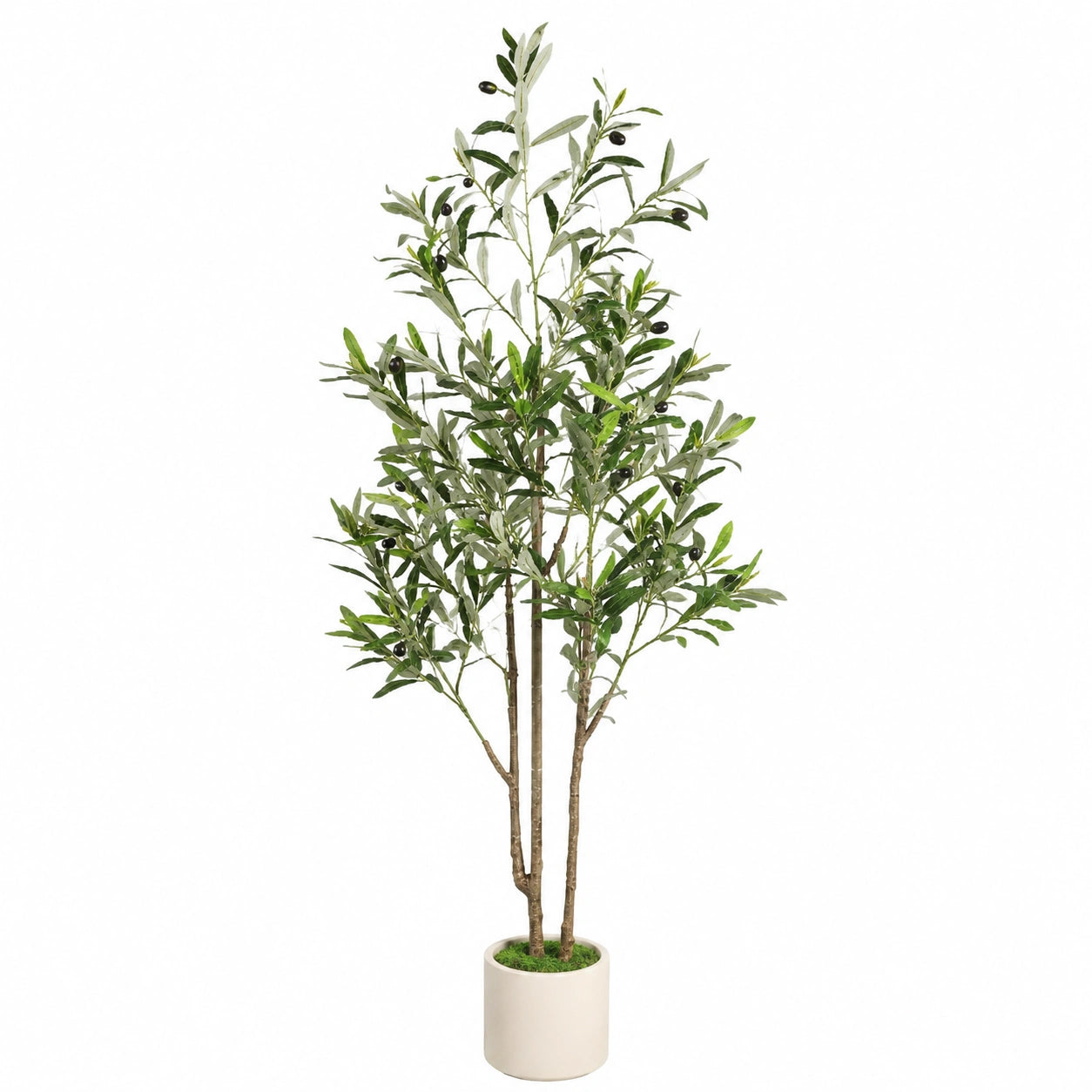 Albero di Ulivo Artificiale 180 cm con Vaso Bianco