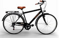 Bici da città, MADICKS, Nero/Marrone