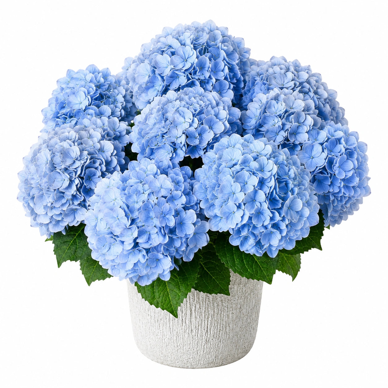 Ortensia Artificiale Blu in Vaso Decorativo