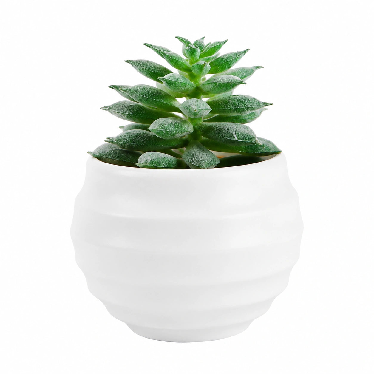 Pianta Grassa Artificiale con Vaso in Ceramica Bianco 15 cm